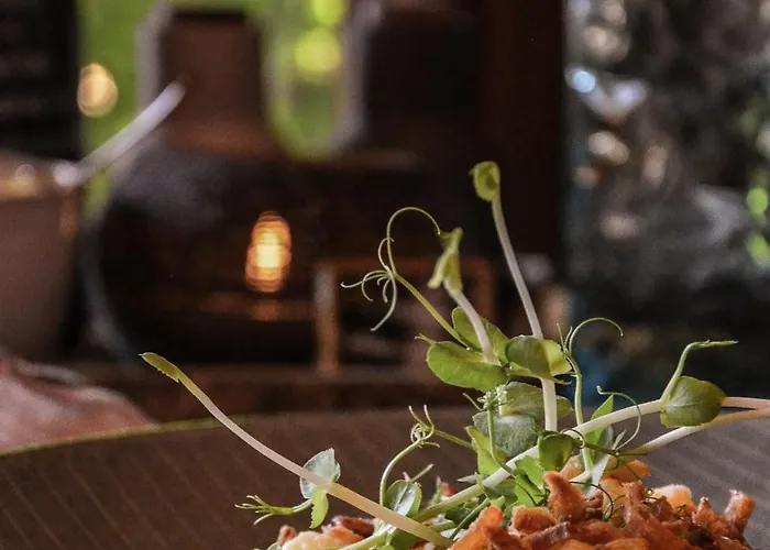 Ehrwalderhof Hotell Ehrwald