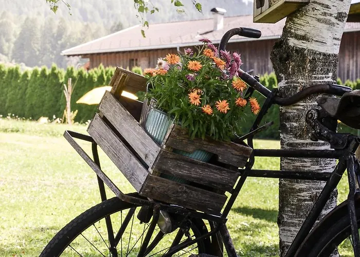 Ehrwalderhof Hotel Ehrwald