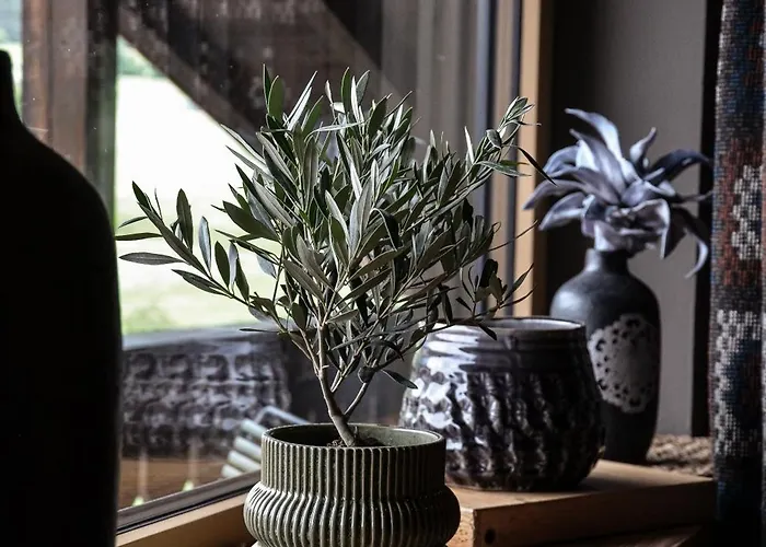 Ehrwalderhof 3* Ehrwald